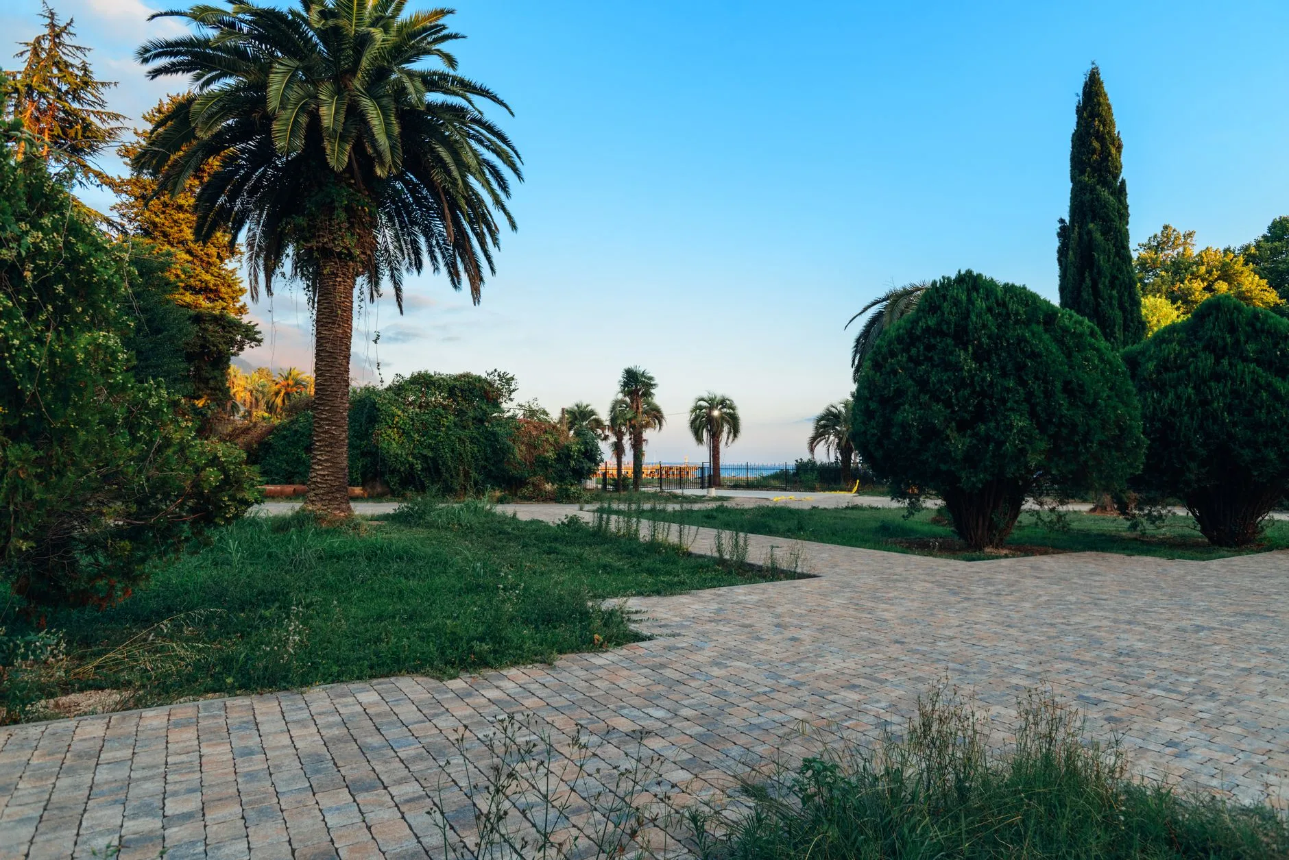 Le Jardin botanique de Batoumi : une forêt tropicale en Géorgie