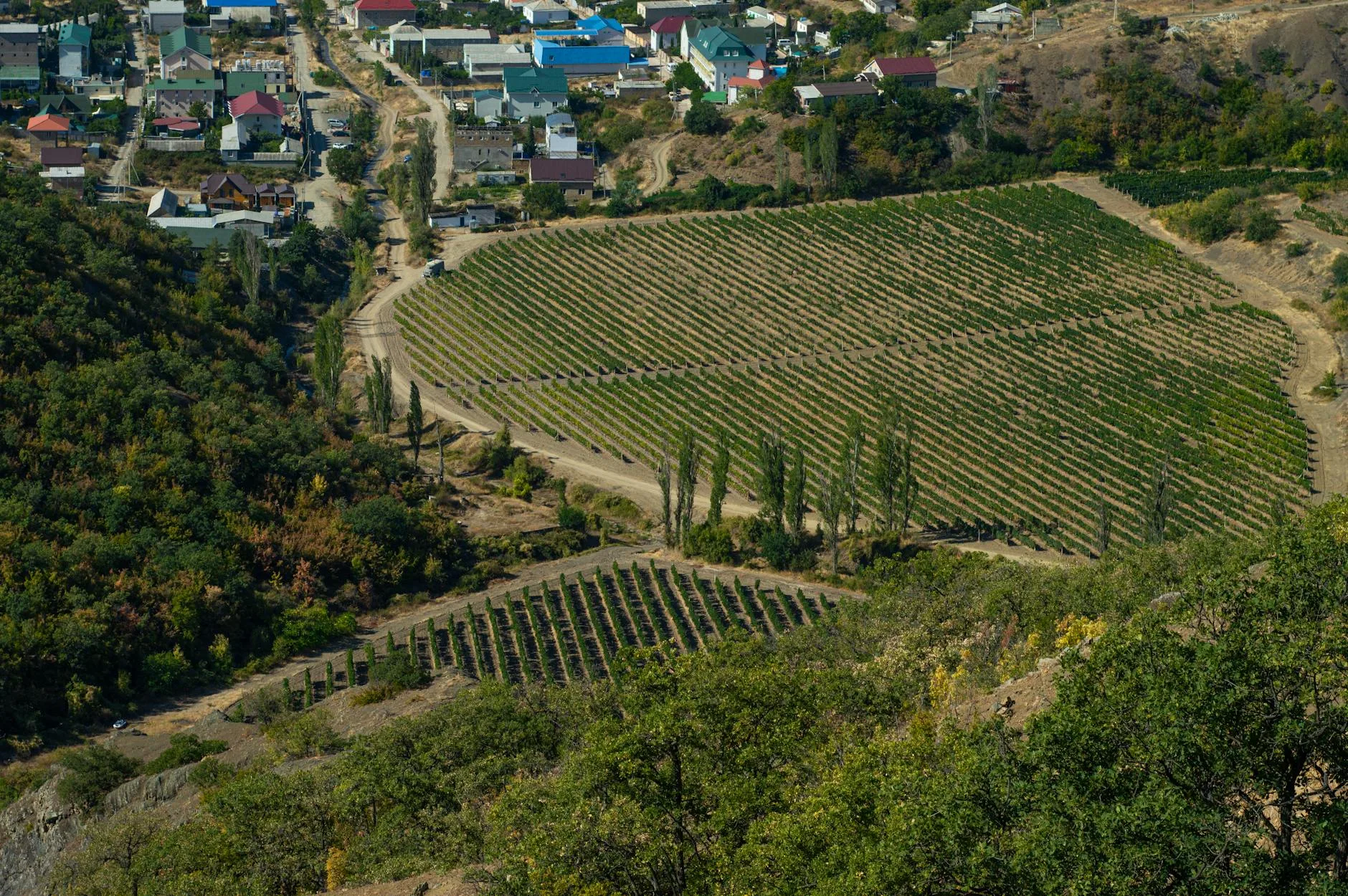 La route des vins de Kakhétie