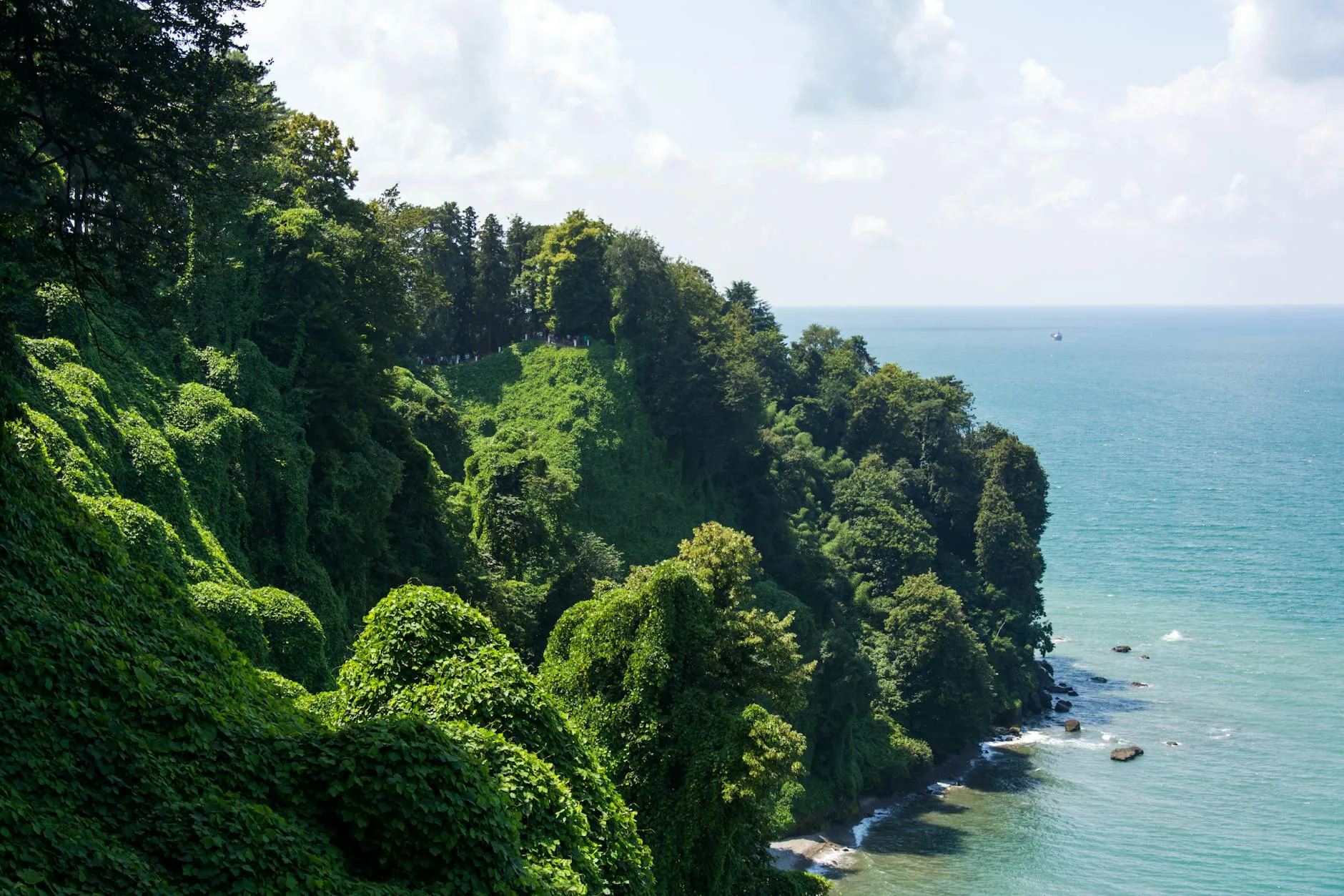 La côte de la mer Noire et l'Adjarie