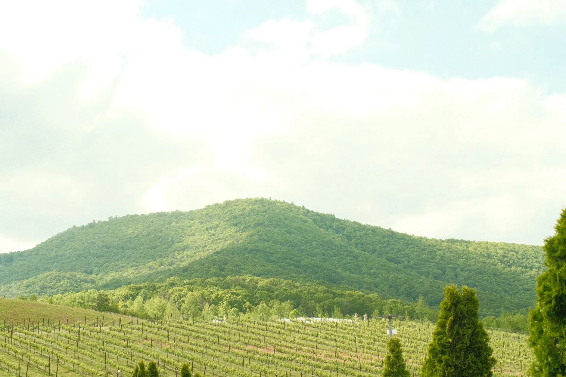 Les régions et appellations